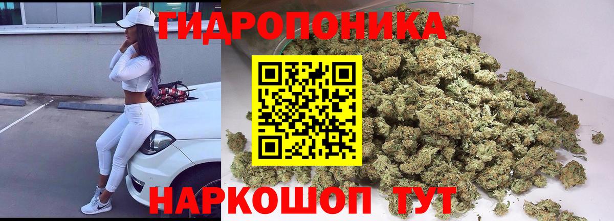 Новоалександровск  Каннабис OG Kush  Вход с VPN  Канабис сатива 